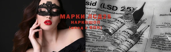 тгк Снежногорск