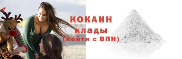 тгк Снежногорск