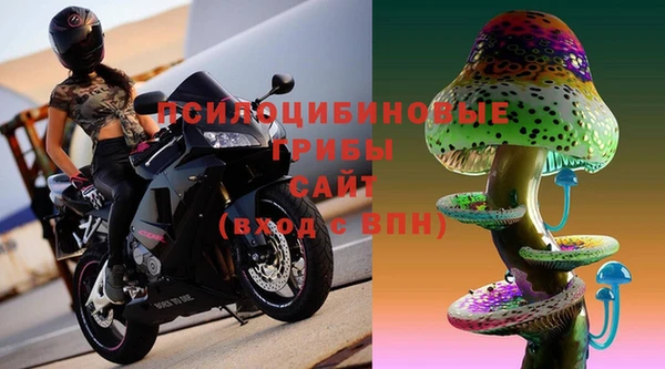 гидра Снежинск