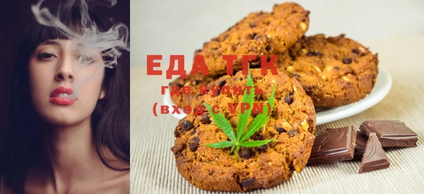 тгк Снежногорск